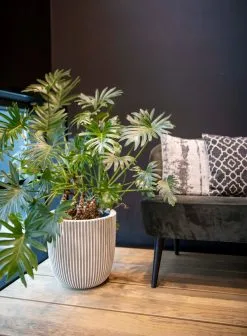 Capi Europe - Bloempot Bol Groove NL - 43x41 - Zwart - Voor Binnen En Buiten - KGVBL933 -Bloempotten Verkoop 883x1200 1