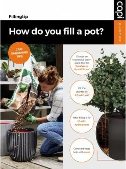 Capi Europe - Bloempot Bol Smooth NL - 35x34 - Zwart - Voor Binnen En Buiten - KBL932 -Bloempotten Verkoop 892x1200 1