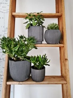 Capi Europe - Set Van 4 - Bloempot Binnen - Groove - Antraciet -Bloempotten Verkoop 899x1200 2