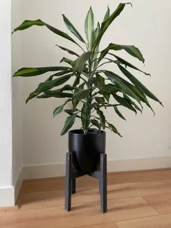 Beckenbau Plantenstandaard Binnen - Diameter Tot 24 Cm - Plantenkruk - Bloempotten Voor Binnen - Plantentafeltje Voor Binnen - Bloempot Standaard | Plantenstandaard - Hout - Mat Zwart -Bloempotten Verkoop 900x1200 11