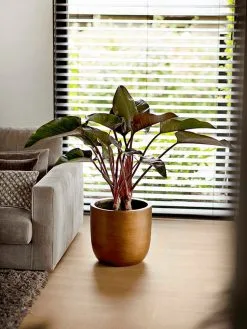 Capi Europe - Bloempot Bol Retro XL - 42x41 - Goud - Bloempot Voor Binnen - Opening ⌀36 - RTG933 12 Capi Europe - Bloempot Bol Retro XL - 42x41 - Goud - Bloempot Voor Binnen - Opening ⌀36 - RTG933 -Bloempotten Verkoop 900x1200