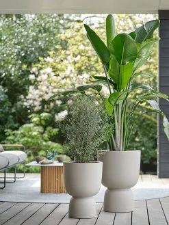 Elho Pure Coupe 35 - Bloempot Voor Binnen & Buiten - Ø 34.9 X H 49.0 Cm - Beige/Balanced Beige -Bloempotten Verkoop 900x1200 3