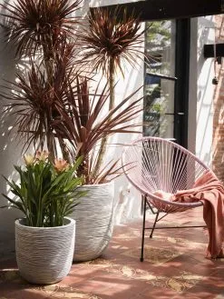 Capi Europe - Bloempot Bol Rib NL - 35x34 - Zwart - Voor Binnen En Buiten - KBLR932 -Bloempotten Verkoop 900x1200 4