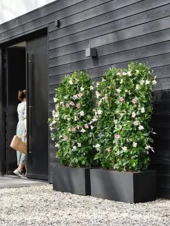 Elho Vivo Next Lang 60 - Bloempot Voor Binnen & Buiten - Ø 59.0 X H 29.2 Cm - Zwart/Living Black 26 Elho Vivo Next Lang 60 - Bloempot Voor Binnen & Buiten - Ø 59.0 X H 29.2 Cm - Zwart/Living Black -Bloempotten Verkoop 900x1200 6