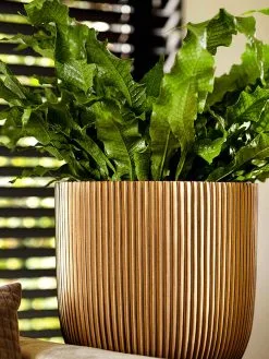 Capi Europe - Bloempot Bol Groove XL - 33x35 - Goud - Bloempot Voor Binnen - Opening ⌀28 - GVGB932 -Bloempotten Verkoop 900x1200 8