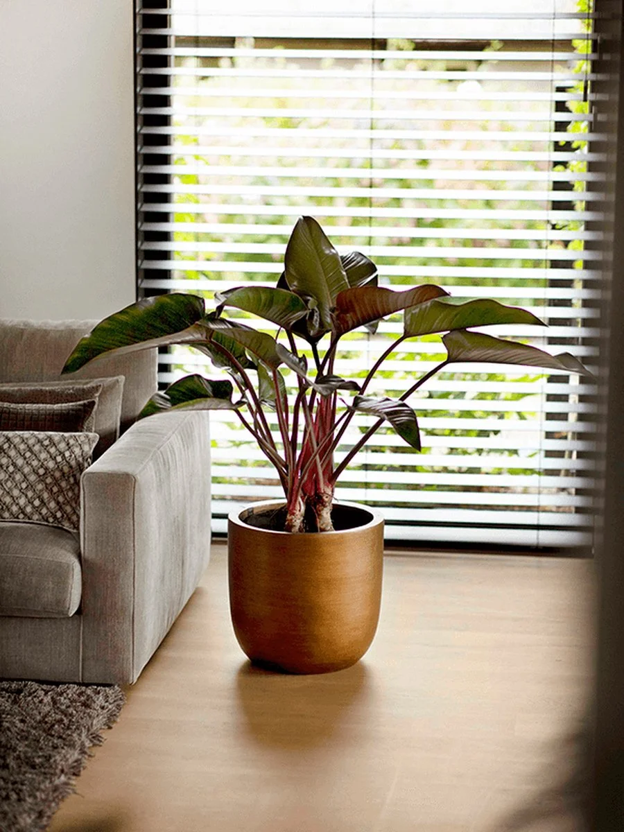 Capi Europe - Bloempot Bol Retro XL - 42x41 - Goud - Bloempot Voor Binnen - Opening ⌀36 - RTG933 5 Capi Europe - Bloempot Bol Retro XL - 42x41 - Goud - Bloempot Voor Binnen - Opening ⌀36 - RTG933 - Afbeelding 5