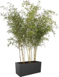 Elho Vivo Matt Finish Lang Wielen 90 - Grote Staande Plantenbak Voor Binnen & Buiten - Gemaakt Van Gereycled Plastic - L 39 X W 88 X H 41 Cm - Zwart -Bloempotten Verkoop 911x1200 3
