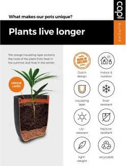 Capi Europe - Bloempot Bol Rib NL - 43x41 - Antraciet - Voor Binnen En Buiten - KOFZ933 -Bloempotten Verkoop 916x1200 2