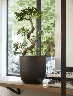 Capi Europe - Bloempot Bol Smooth NL - 35x34 - Zwart - Voor Binnen En Buiten - KBL932 -Bloempotten Verkoop 923x1200