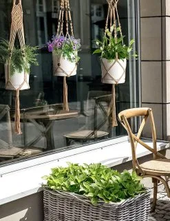 Mycramé 5 Stuks Jute Macrame Plantenhangers - Boho Handgeweven Katoen Hangpot Voor Binnen/Buiten - Hangende Bloempot Met Kralen - Macramé Touw/Koord Hangplant Houder - Bohemian Wandhanger Decoratie - Plant Hanger - Verticale Tuin Bloempothouder Planthanger 11 Mycramé 5 Stuks Jute Macrame Plantenhangers - Boho Handgeweven Katoen Hangpot Voor Binnen/Buiten - Hangende Bloempot Met Kralen - Macramé Touw/Koord Hangplant Houder - Bohemian Wandhanger Decoratie - Plant Hanger - Verticale Tuin Bloempothouder Planthanger -Bloempotten Verkoop 923x1200 3