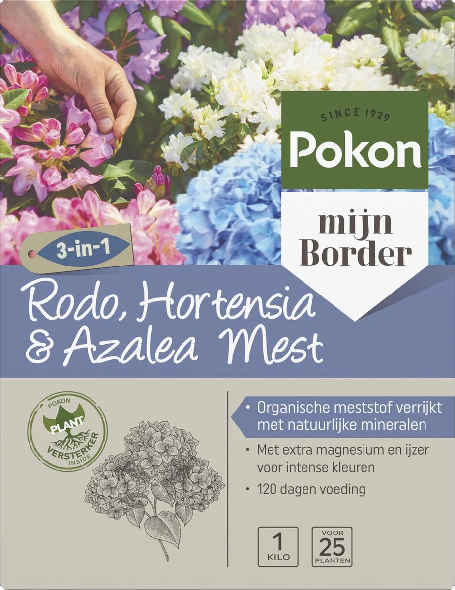 Pokon Rhododendron, Hortensia & Azalea Mest - 1kg - Meststof - 3-in-1 Werking 1 Pokon Rhododendron, Hortensia & Azalea Mest - 1kg - Meststof - 3-in-1 Werking