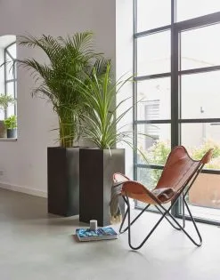 Capi Europe - Bloempot Rechthoek Smooth NL - 36x36x79 - Zwart - Voor Binnen En Buiten - KBL952 20 Capi Europe - Bloempot Rechthoek Smooth NL - 36x36x79 - Zwart - Voor Binnen En Buiten - KBL952 -Bloempotten Verkoop 941x1200 1