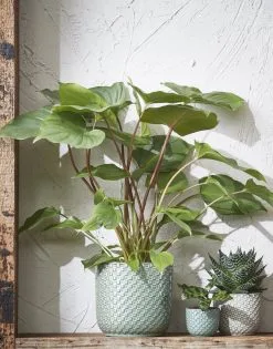 Mica Decorations Daan Bloempot - H17,5 X Ø19 Cm - Groen -Bloempotten Verkoop 942x1200