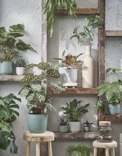 Mica Decorations Daan Bloempot - H17,5 X Ø19 Cm - Groen -Bloempotten Verkoop 943x1200