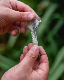 ECOstyle PH Bodemtest - Zuurtegraad Meter Voor Grond - Bepaal Kalk Behoefte Voor Tuin En Gazon - 8 Testen -Bloempotten Verkoop 960x1200 5