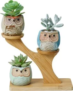 PlantCerra Luxe Bamboe Houten Boom Met 3 Keramiek Uil Bloempotten/Plantenpotten Op Standaard/Voet Voor Binnen En Buiten - Modern Design Bloempot/Plantenpot Op Poten/Pootjes-Plantenbak Mini Cactus Nep Plant Pot Houder - Kleine Bloembakken Plantenrek/Plantenkurk