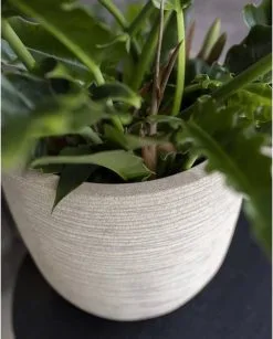 Capi Europe - Bloempot Bol Waste Rib NL - 35x34 - Terrazzo Beige - Voor Binnen En Buiten - KTBR932 17 Capi Europe - Bloempot Bol Waste Rib NL - 35x34 - Terrazzo Beige - Voor Binnen En Buiten - KTBR932 -Bloempotten Verkoop 967x1200