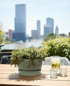 Elho Greenville Schaal 33 - Bloempot Voor Buiten - Ø 32.5 X H 19.4 Cm - Groen/Blad Groen 9 Elho Greenville Schaal 33 - Bloempot Voor Buiten - Ø 32.5 X H 19.4 Cm - Groen/Blad Groen -Bloempotten Verkoop 986x1200