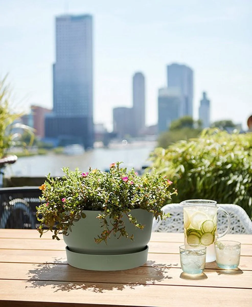 Elho Greenville Schaal 33 - Bloempot Voor Buiten - Ø 32.5 X H 19.4 Cm - Groen/Blad Groen 3 Elho Greenville Schaal 33 - Bloempot Voor Buiten - Ø 32.5 X H 19.4 Cm - Groen/Blad Groen - Afbeelding 3