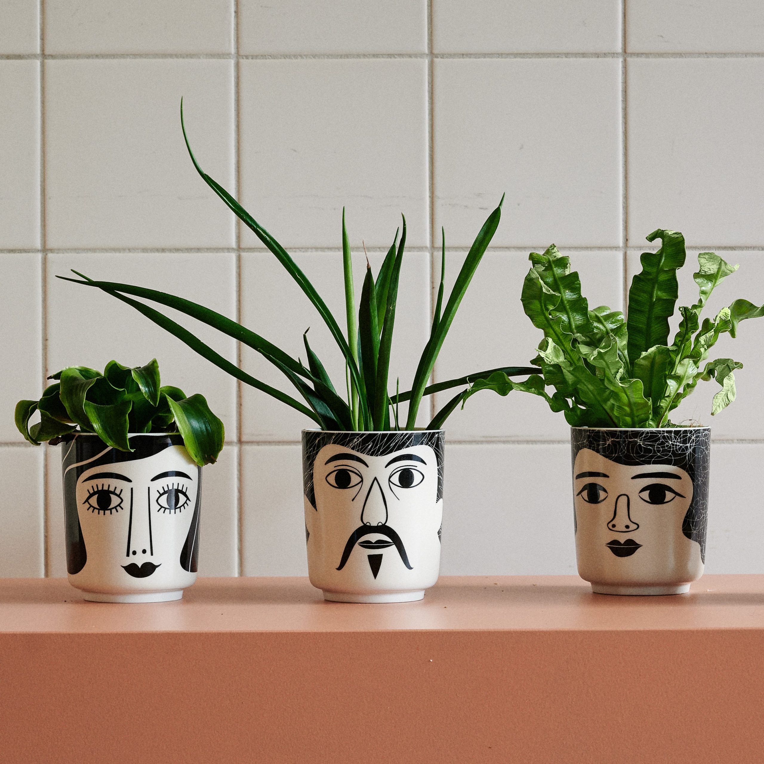 Voorkant 21 Voorkant -Bloempotten Verkoop 9892