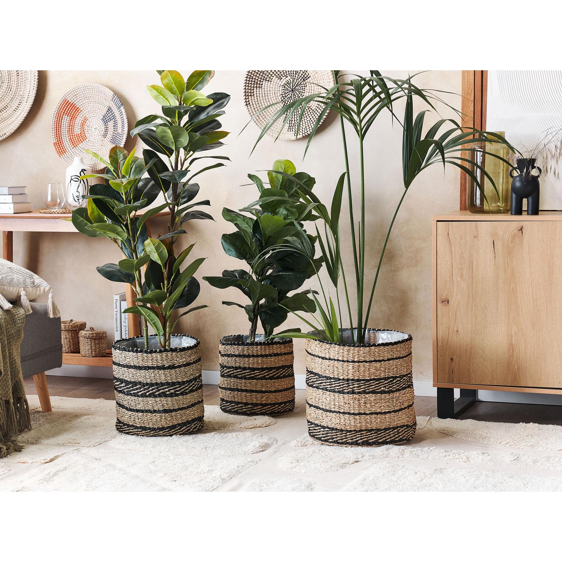 Voorkant 3 Voorkant -Bloempotten Verkoop 98989