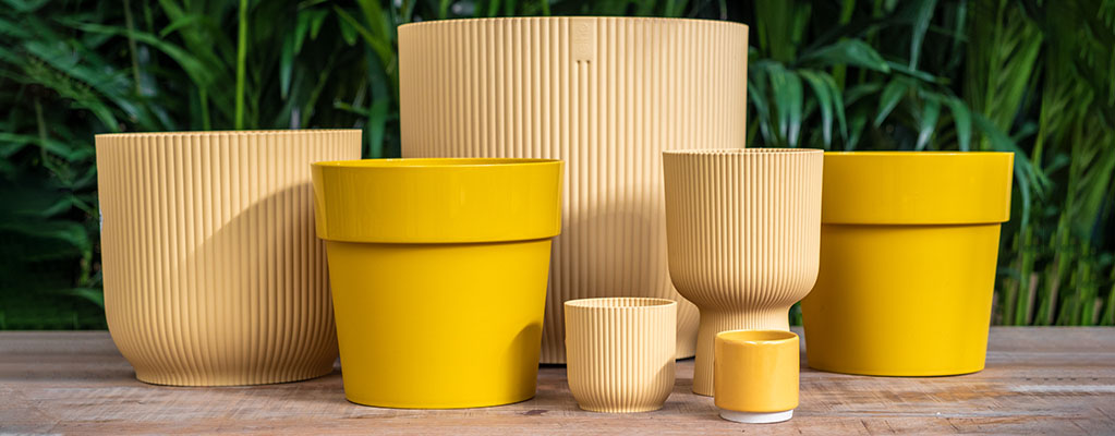 Voorkant 44 Voorkant -Bloempotten Verkoop 989890